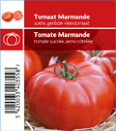 Tomaat Marmande (tray 12 pot)